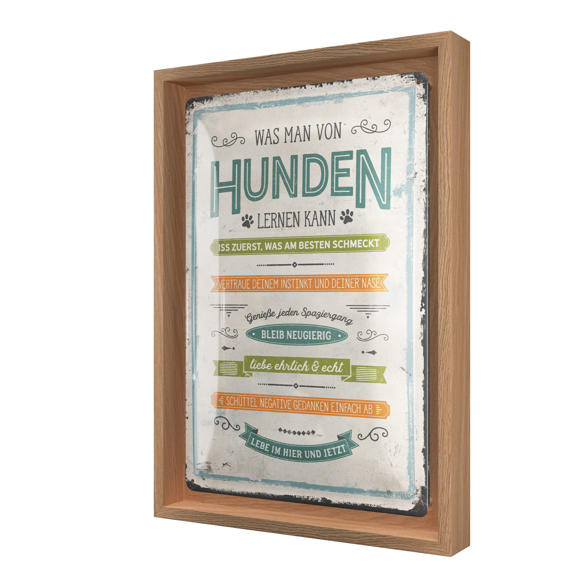 PfotenSchild - Was man von Hunden lernen kann N-Frame M Edition