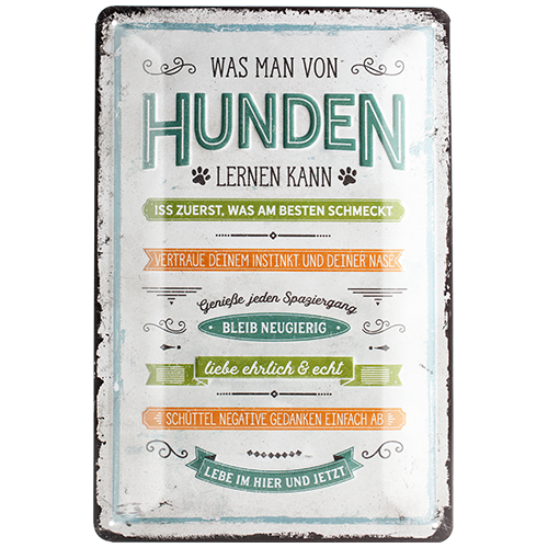 PfotenSchild - Was man von Hunden lernen kann