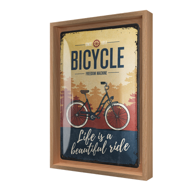 Bicycle - Beautiful Ride N-Frame M Edition