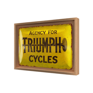 Triumph - Agency for Cycles N-Frame M Edition