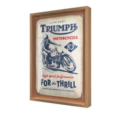 Triumph - For the Thrill N-Frame M Edition