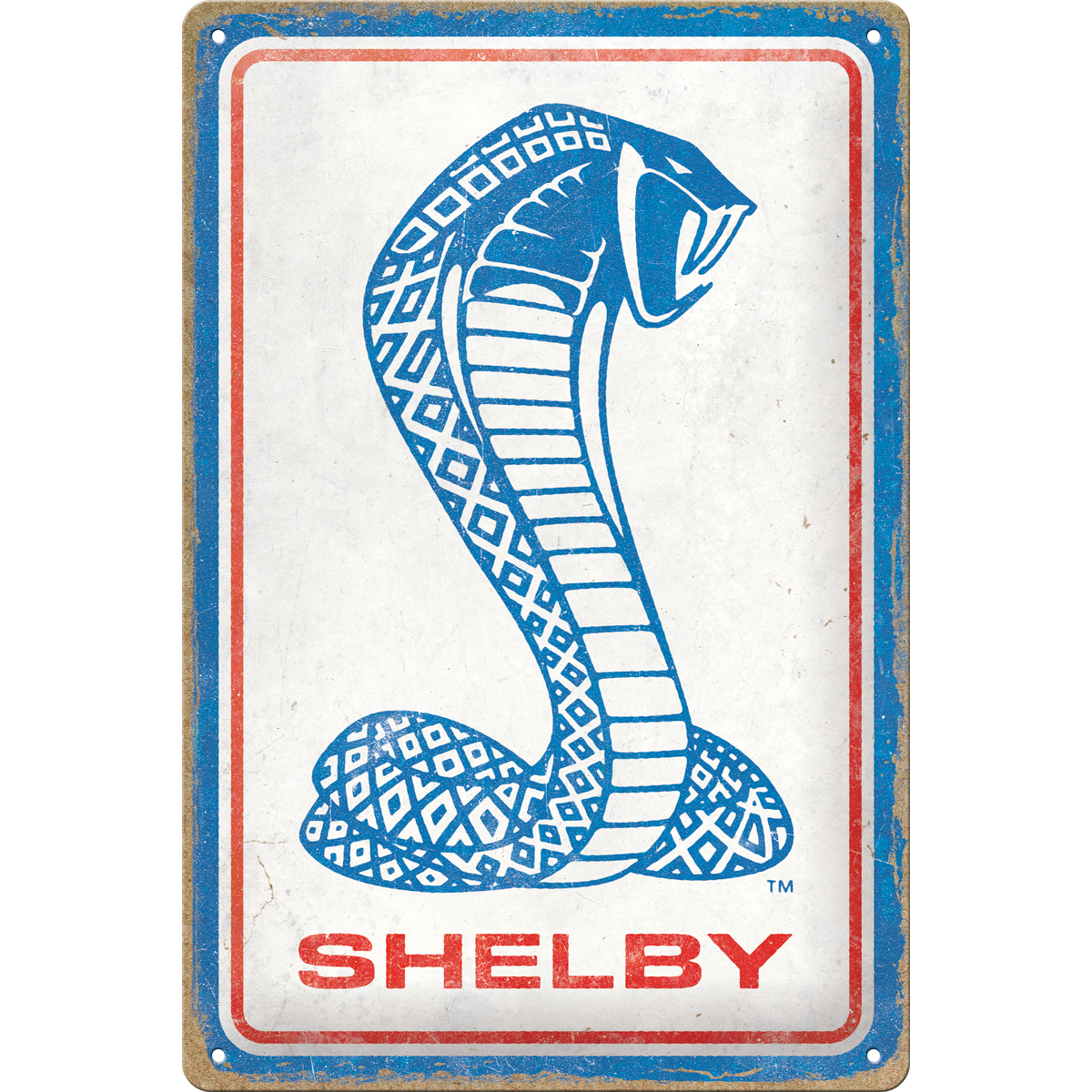 Shelby - Cobra Snake