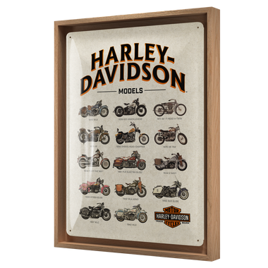 Harley-Davidson - Model Chart N-Frame L Edition