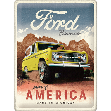 Ford - Bronco Pride of America