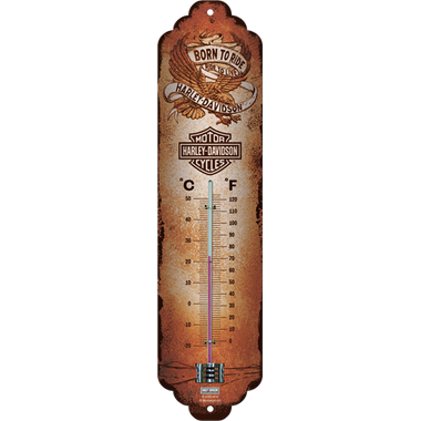 Harley-Davidson - Born to Ride Eagle