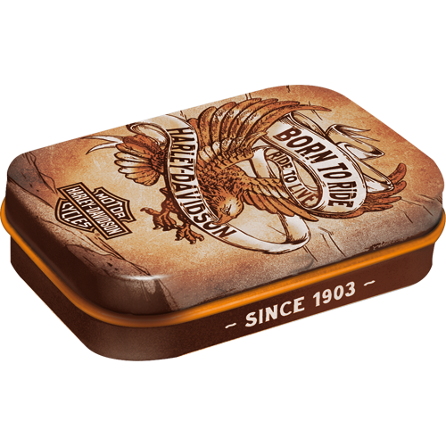 Harley Davidson - Born to Ride Eagle