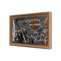 Harley-Davidson - Favourite Ride N-Frame M Edition