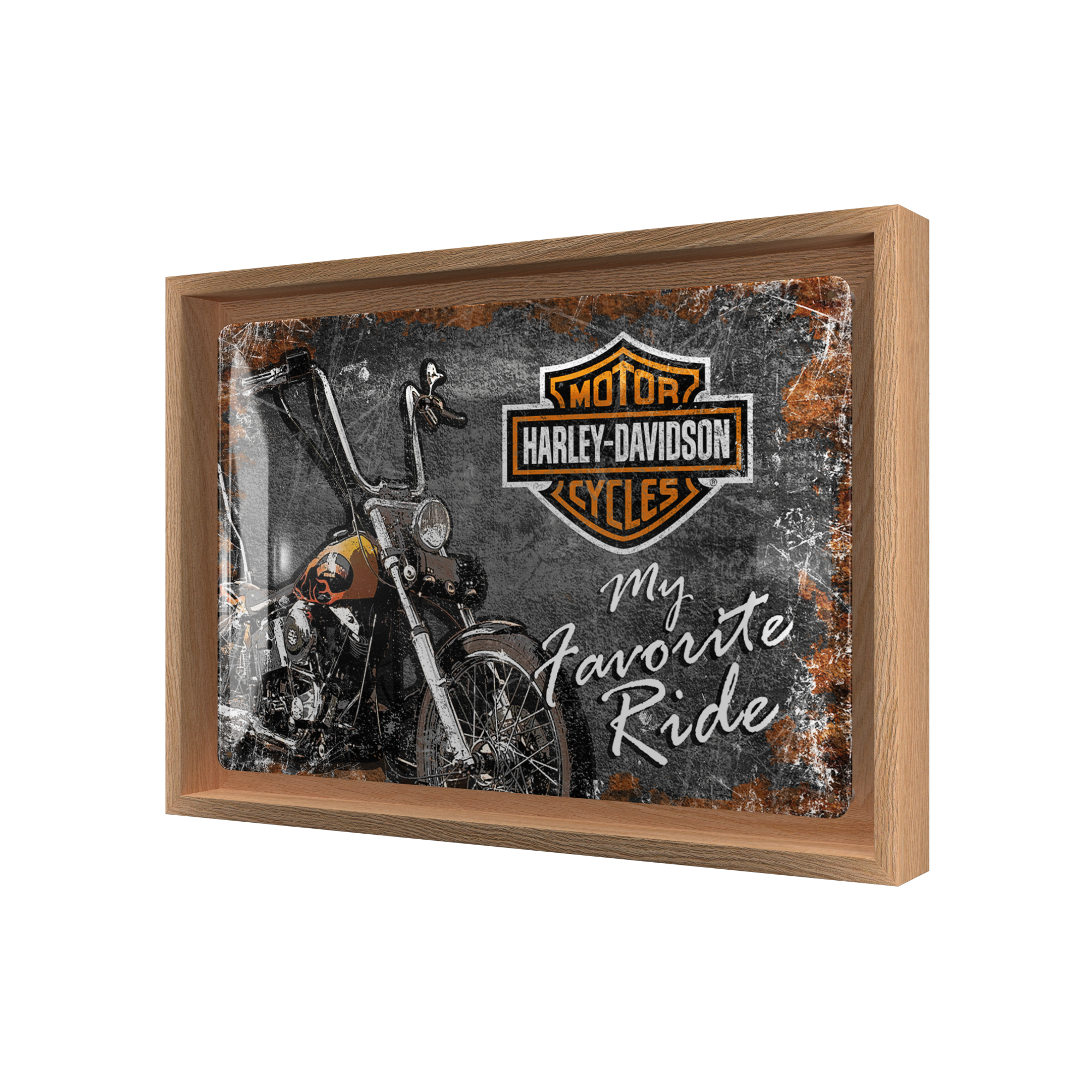 Harley-Davidson - Favourite Ride N-Frame M Edition