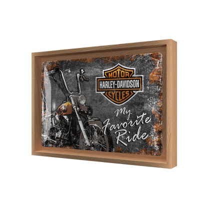Harley-Davidson - Favourite Ride N-Frame M Edition
