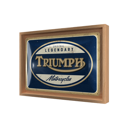 Triumph - Legendary Motorcycles N-Frame M Edition