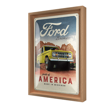 Ford - Bronco Pride of America N-Frame M Edition