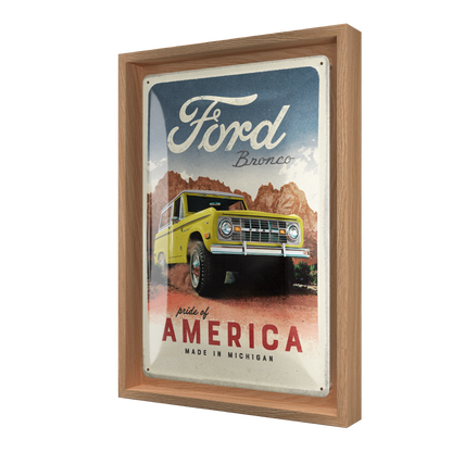 Ford - Bronco Pride of America N-Frame M Edition