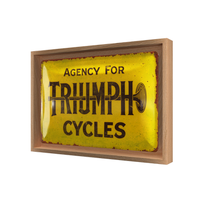 Triumph - Agency for Cycles N-Frame M Edition