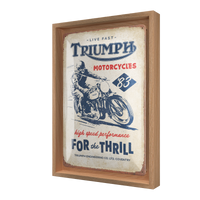 Triumph - For the Thrill N-Frame M Edition