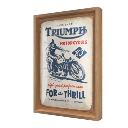 Triumph - For the Thrill N-Frame M Edition
