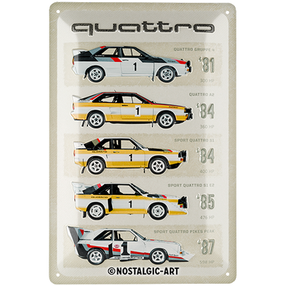 Audi Sport quattro - Model Evolution, isolated Blechschild 20 x 30 cm product view with transparent background.