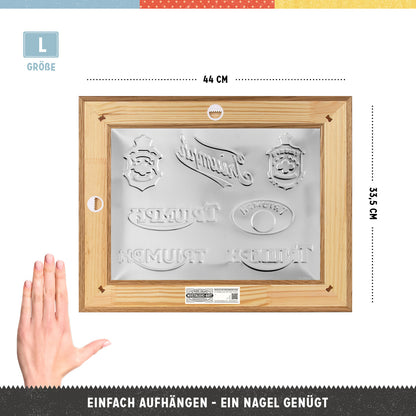 Triumph - Logo Evolution N-Frame L Edition