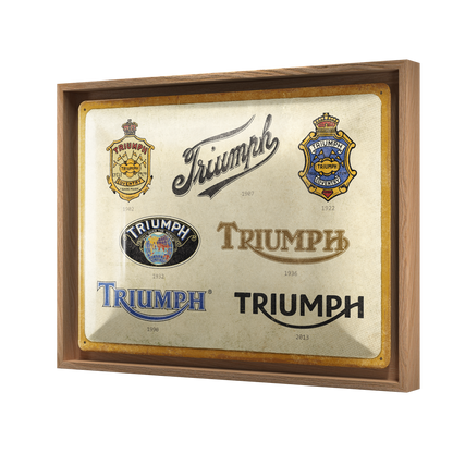 Triumph - Logo Evolution N-Frame L Edition