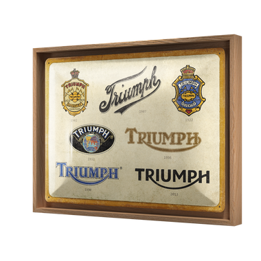 Triumph - Logo Evolution N-Frame L Edition