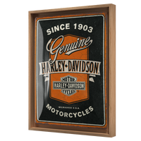 Harley-Davidson - Genuine Motorcycles Ribbon N-Frame L Edition