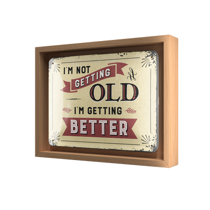 I'm not getting old N-Frame S Edition