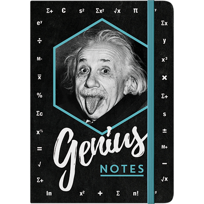 Einstein - Genius Notes