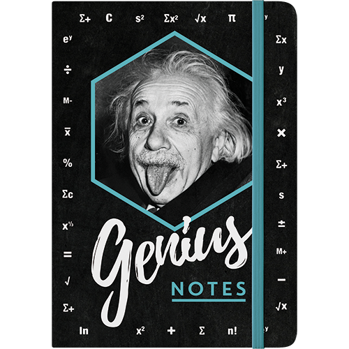 Einstein - Genius Notes