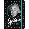 Einstein - Genius Notes